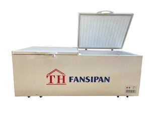 tủ đông nằm 1000L Th Fansipan